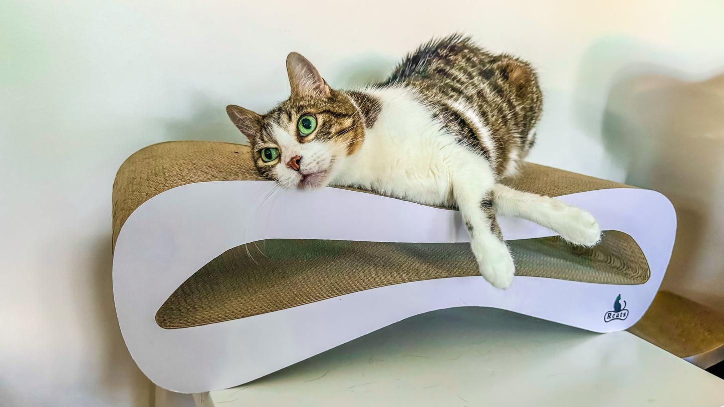 Cat scratcher Samy wave Rcats