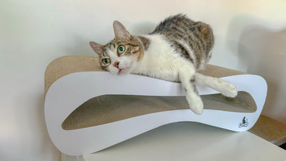 Cat scratcher Samy wave Rcats